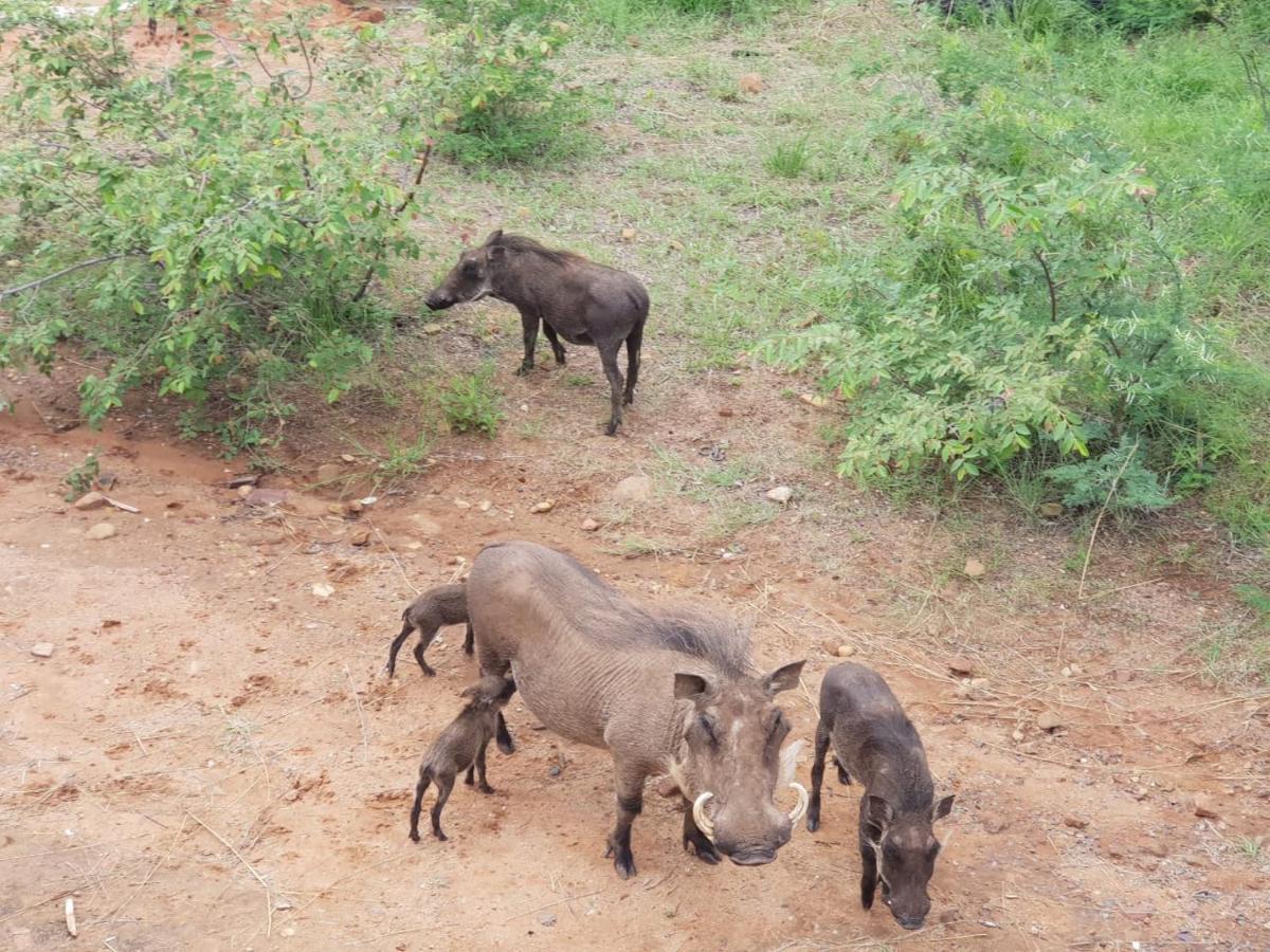 636 Itaga Safari Lodge, Mabalingwe Nature Reserve Mabula Game Reserve Exterior foto