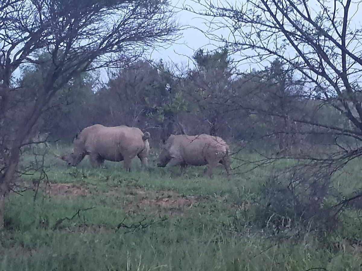 636 Itaga Safari Lodge, Mabalingwe Nature Reserve Mabula Game Reserve Exterior foto