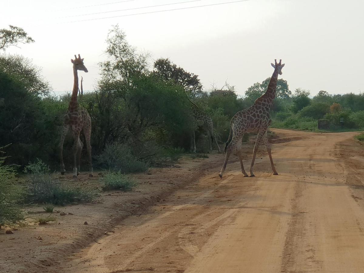 636 Itaga Safari Lodge, Mabalingwe Nature Reserve Mabula Game Reserve Exterior foto